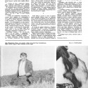 Журнал Крестьянка, №10-1984 г., стр. 11